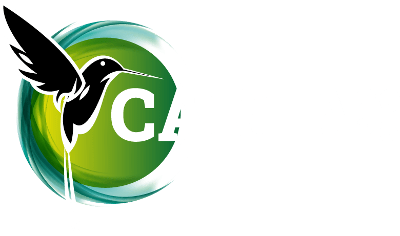 CARLA Logo